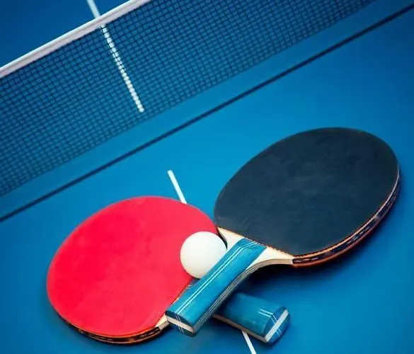 شباب آرت آند ستايل سينغن